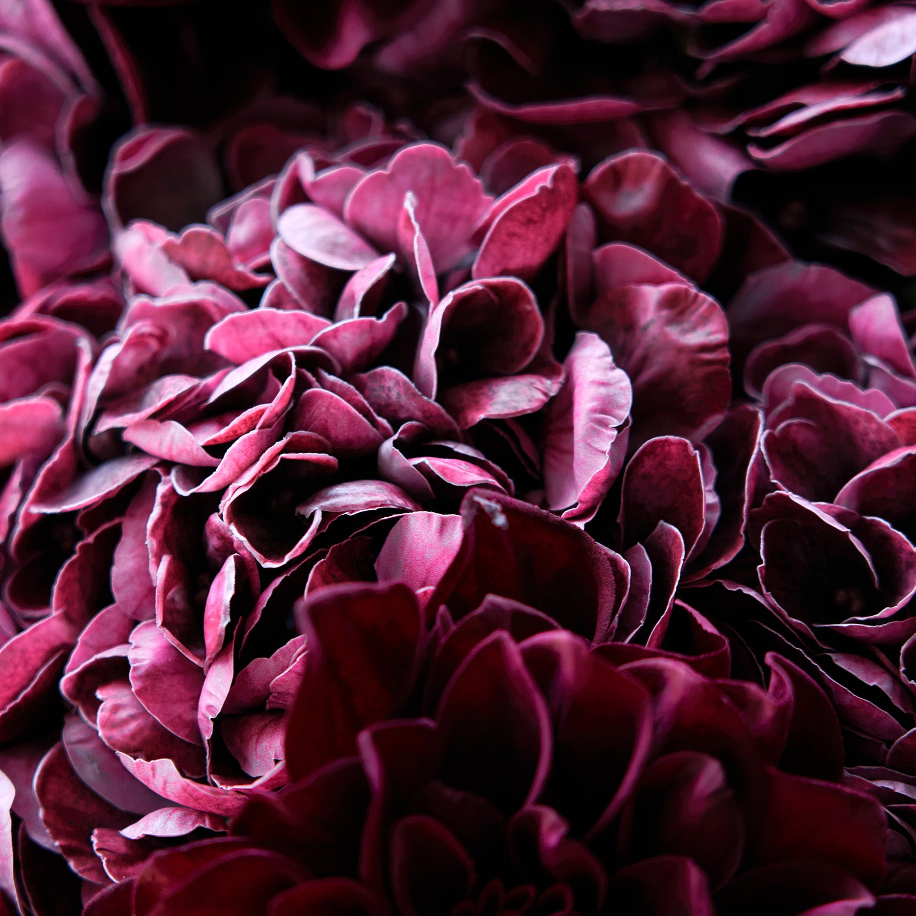 Kunstig hortensia - real touch